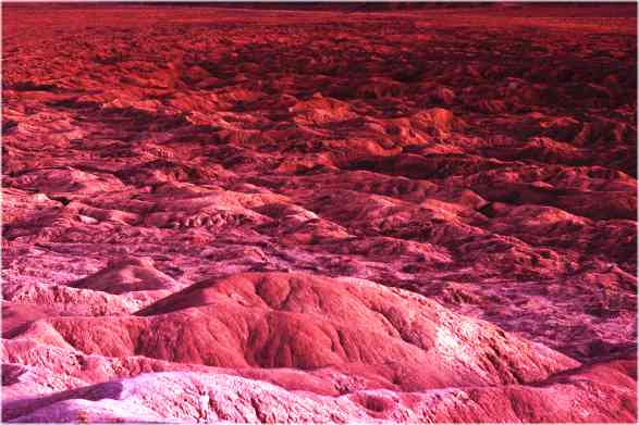 Anza Borrego Desert CA, USA 1992