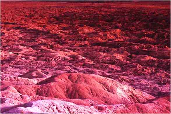 Anza Borrego Desert CA, USA 1992