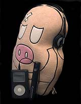 Senheiser PXC300 Senheiser PXC300