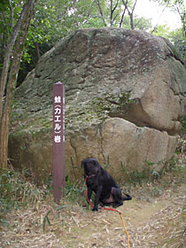 蛙岩の前に座るカブ