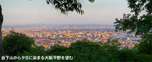 会下山のルートの途中、木ゝの間からちらりと見える大阪平野
