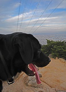 風吹岩の上で 風吹岩の上で