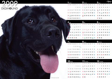 カレンダー A1サイズ カレンダー A1サイズ