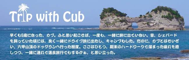 犬連れ小旅行 Trip with Cub 1 南紀白浜編
