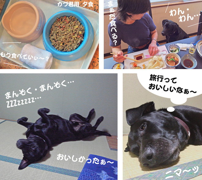 旅行って、おいしいなぁ〜 旅行って、おいしいなぁ〜