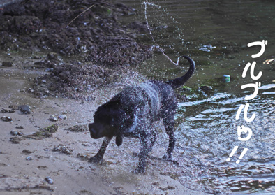 ブルブルッ ブルブルッ