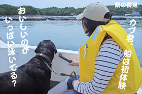 ボート上から養殖筏を眺めて ボート上から養殖筏を眺めて