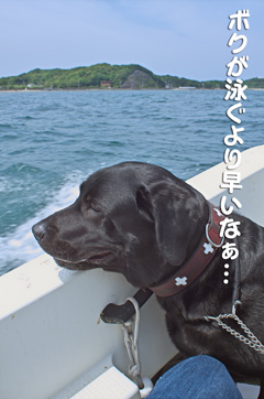 船上 ボクが泳ぐよりも早いなぁ… 船上 ボクが泳ぐよりも早いなぁ…