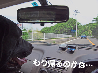 もう帰るのかなぁ… もう帰るのかなぁ…