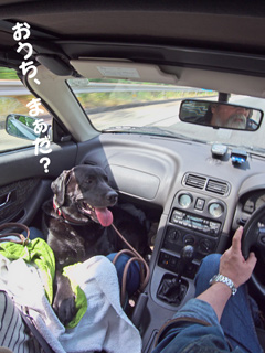 おうち、まぁだぁ〜? おうち、まぁだぁ〜?