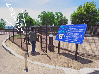 紀ノ川PAのドッグラン 紀ノ川PAのドッグラン