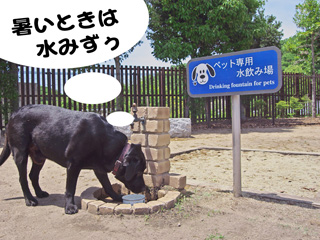 紀ノ川PAのドッグラン 紀ノ川PAのドッグラン