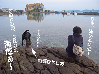 さぁ、泳いどいで〜 さぁ、泳いどいで〜