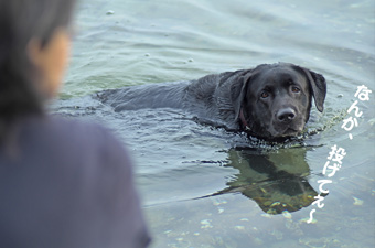 なんか、投げてぇ〜 なんか、投げてぇ〜
