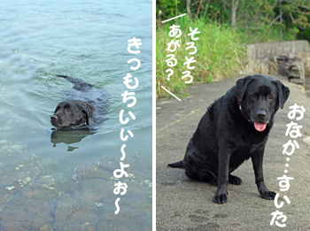 おなかがすいて、あがりぃ〜 おなかがすいて、あがりぃ〜