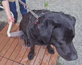 源泉掛け流しシャワー 源泉掛け流しシャワー