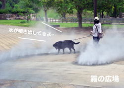 新庄総合公園 新庄総合公園