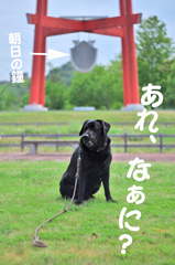 新庄総合公園 新庄総合公園