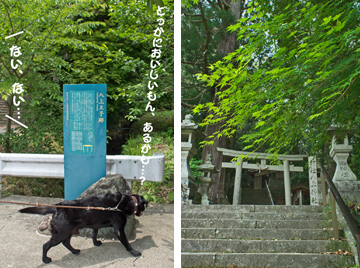 八上王子跡 八上王子跡