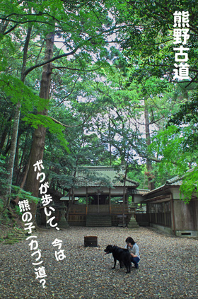 クマノコ道 クマノコ道