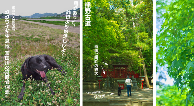 河原での休憩・熊野古道・新緑 河原での休憩・熊野古道・新緑