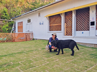 ドッグラン ドッグラン