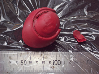 摘出されたボール