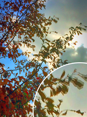 ゴーストが出ている例 ゴーストが出ている例