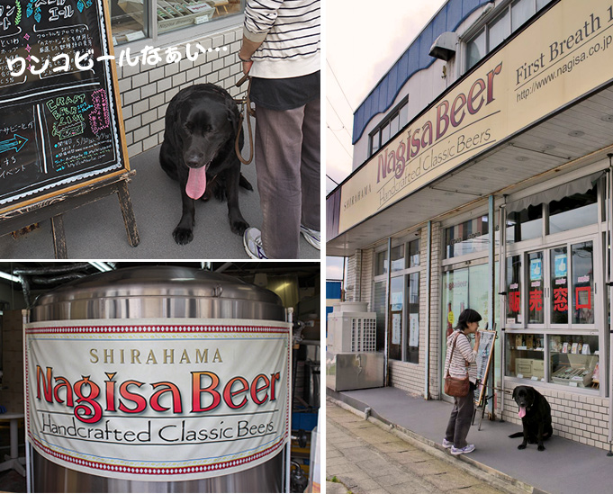 写真 ナギサビールをゲット 写真 ナギサビールをゲット