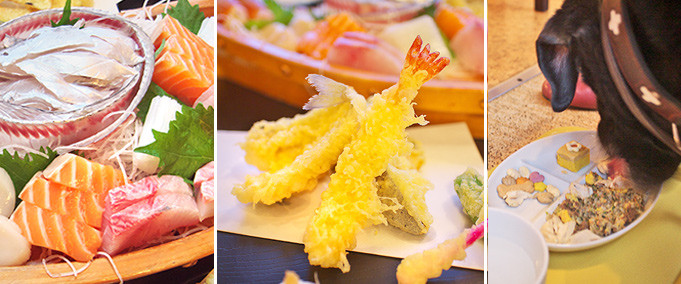 夕食写真 夕食写真