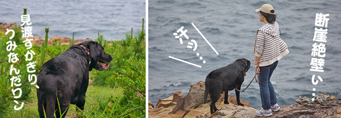 写真 いそぎ公園 断崖絶壁! 写真 いそぎ公園 断崖絶壁!