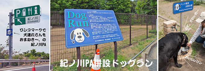 ドッグランの写真 ドッグランの写真