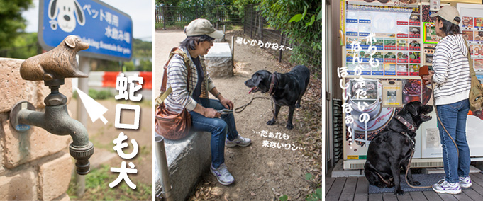 ドッグランの写真など ドッグランの写真など