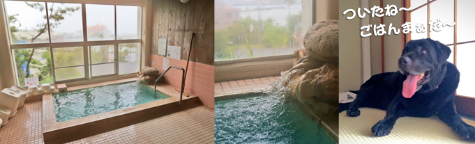 写真 大浴場 写真 大浴場