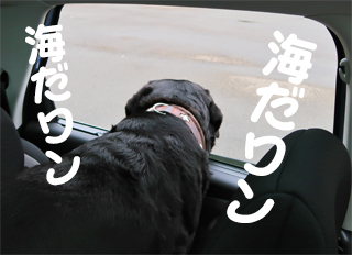 20160524-img_0604.jpg 20160524-img_0604.jpg