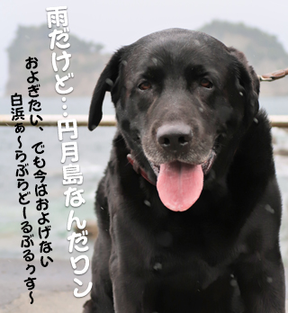 20160524-img_0611.jpg 20160524-img_0611.jpg