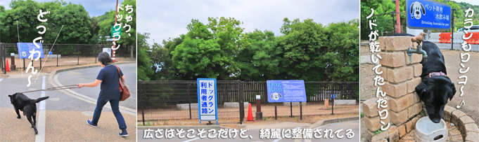 20160524-kinokawa1.jpg 20160524-kinokawa1.jpg