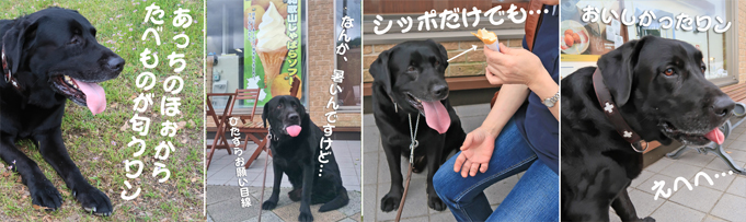 20160524-kinokawa2.jpg 20160524-kinokawa2.jpg