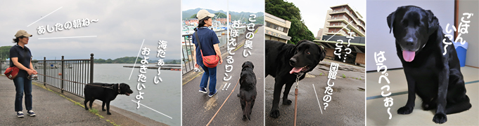 写真 ワン歩 写真 ワン歩