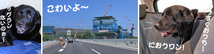 帰路の写真 帰路の写真