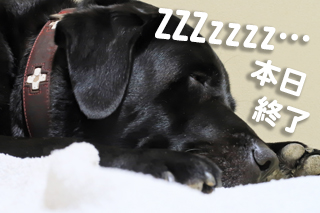 写真 本日終了 写真 本日終了