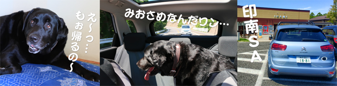 写真 え〜、もう帰るの〜 写真 え〜、もう帰るの〜