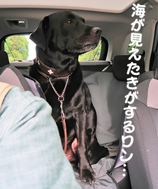 写真 トンネルとトンネルの間では、海も遠望 写真 トンネルとトンネルの間では、海も遠望