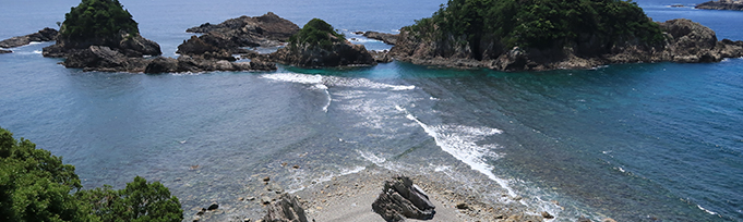 写真 婦夫波 写真 婦夫波