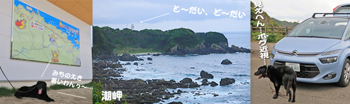 写真 道の駅と潮岬 写真 道の駅と潮岬