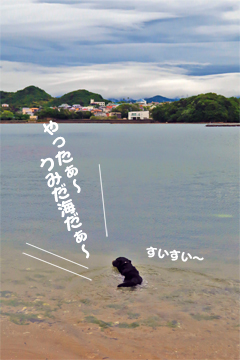 20160526-swim1stday1.jpg 20160526-swim1stday1.jpg