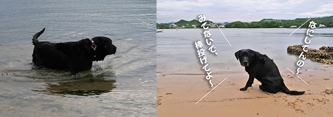 20160526-swim1stday2.jpg 20160526-swim1stday2.jpg