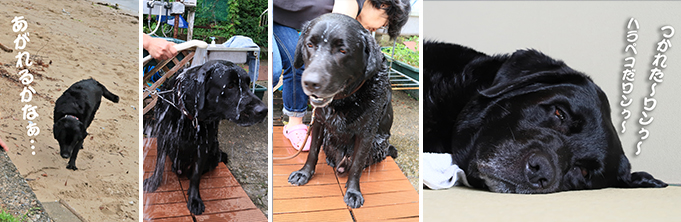 20160526-swim2ndday1.jpg 20160526-swim2ndday1.jpg