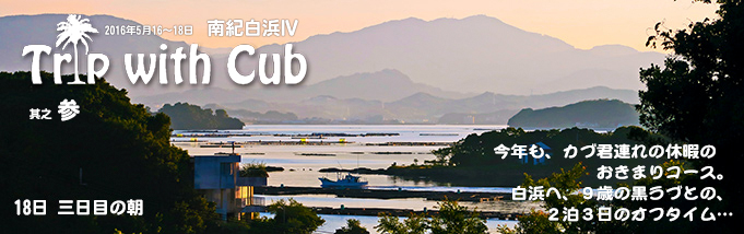 犬連れ小旅行 Trip with Cub 南紀白浜 IV 【その3】18日 三日目の朝 犬連れ小旅行 Trip with Cub 南紀白浜 IV 【その3】18日 三日目の朝