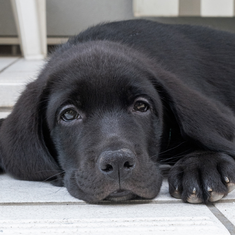 9週目のグリー 9週目のグリー